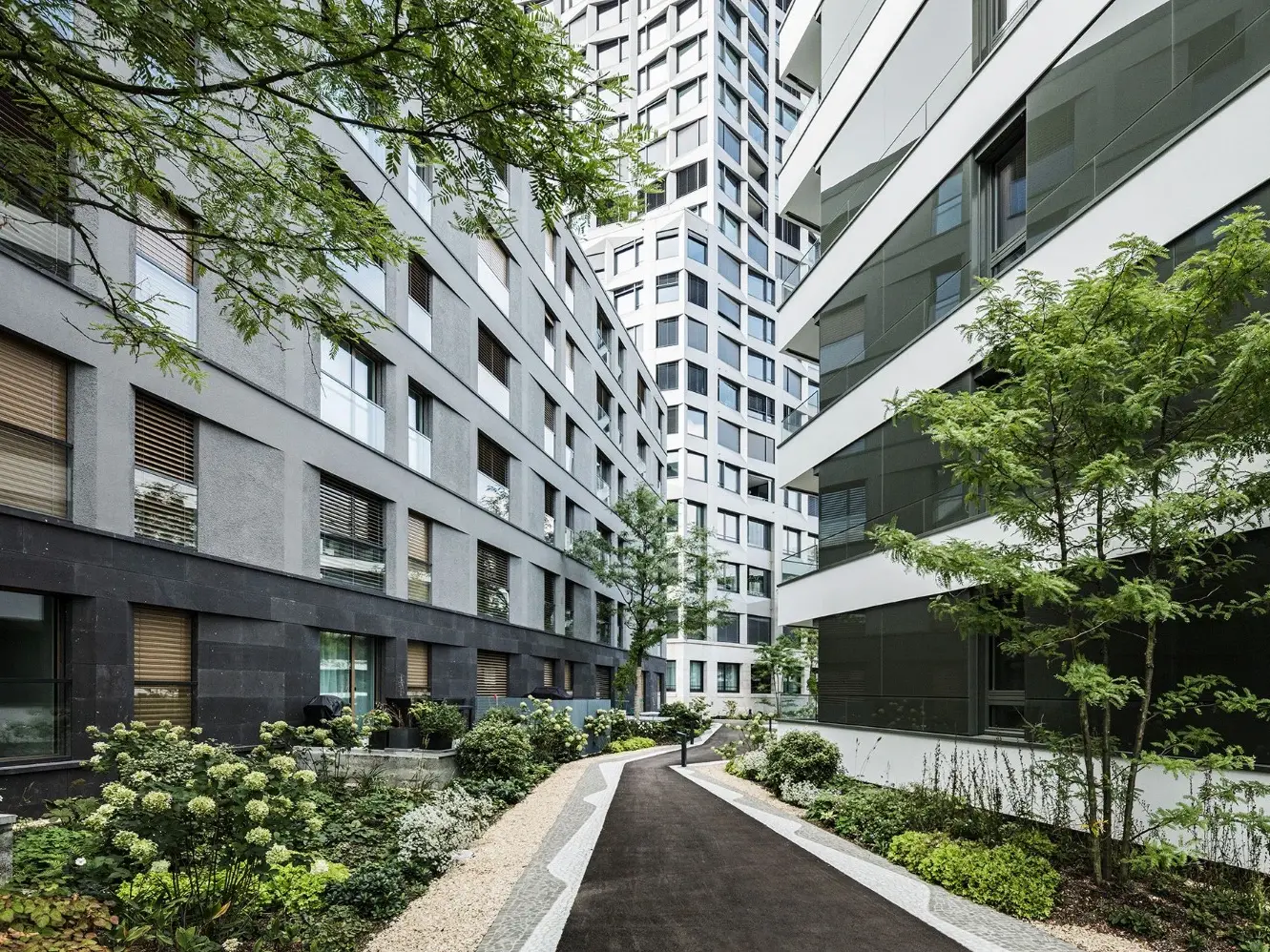 Weg zwischen den Gebäuden hin zum Limmattower mit begrünten Beeten