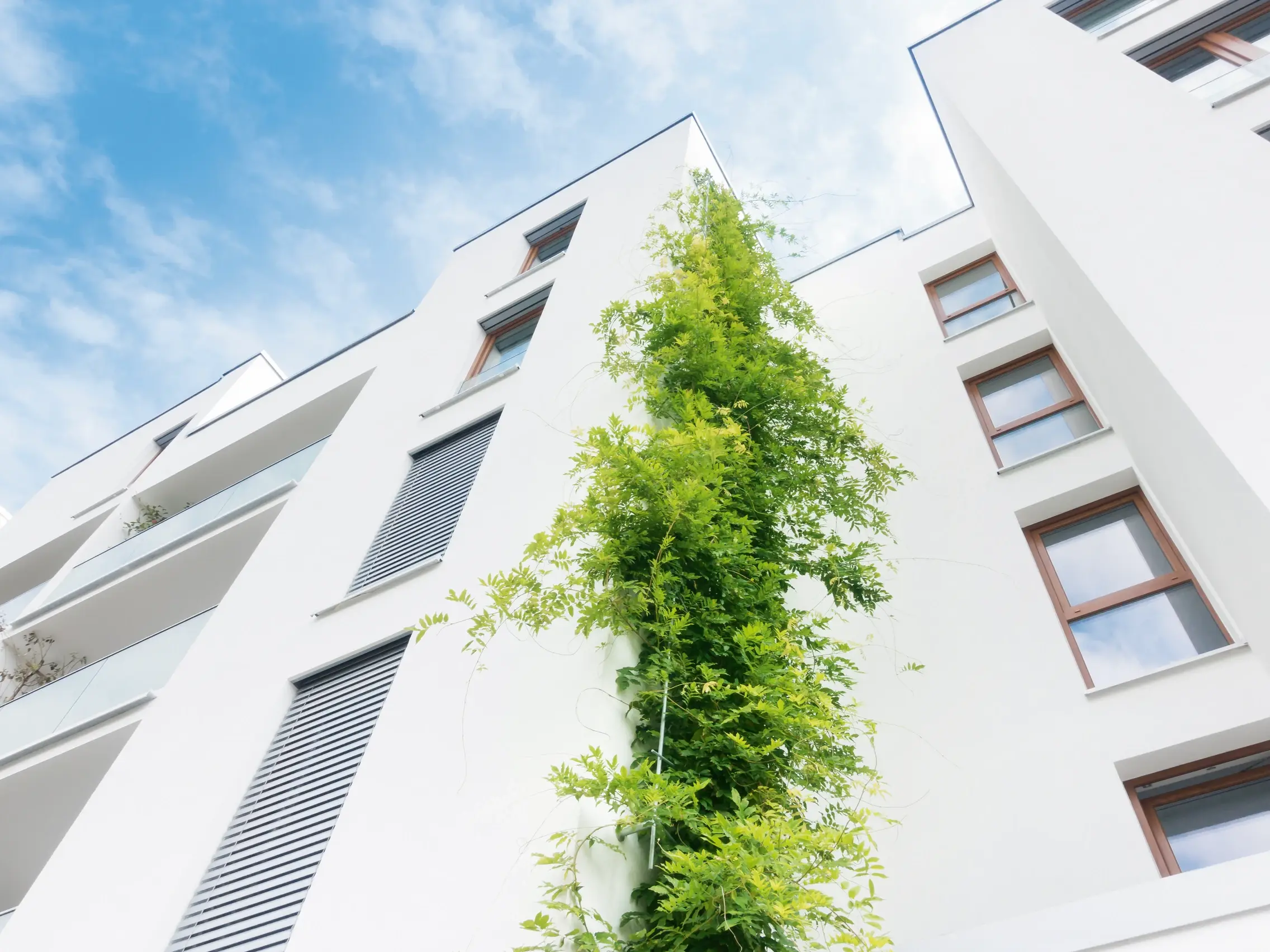 Sustainability on focus