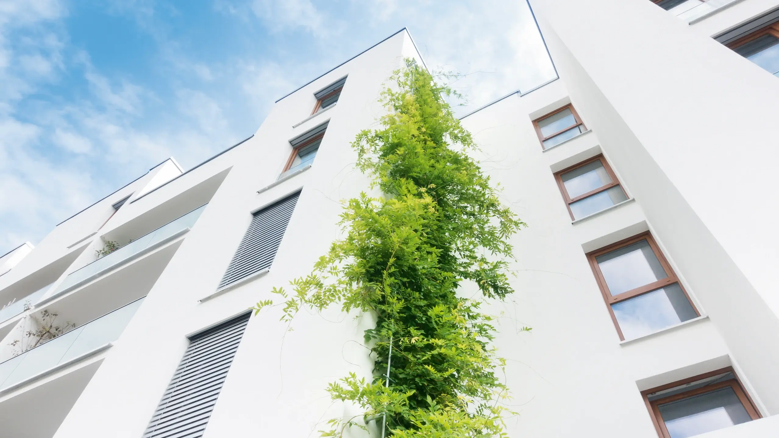 Sauber verarbeitete, schöne Außenfassade