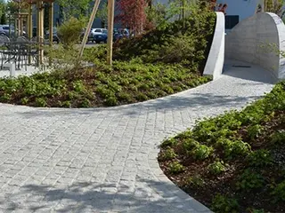 Moderner Vorplatz mit hellgrauen Pflastersteinen und grün bepflanzten Beeten sowie einzelnen Bäumen