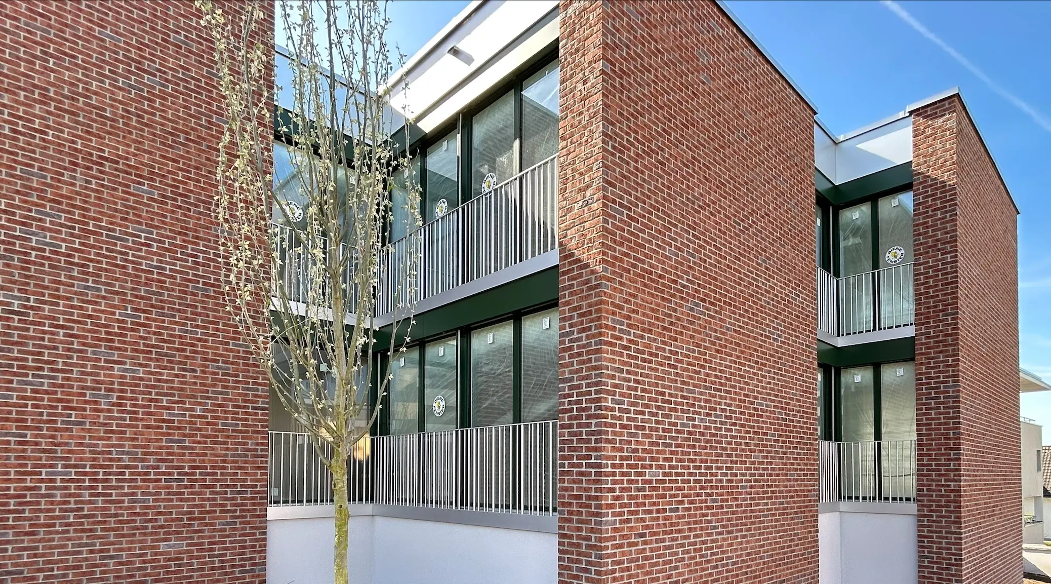 WÜB Vogelwinkel Baar