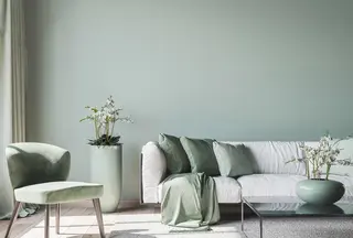 Das Bild zeigt ein Wohnzimmer mit einer frisch gestrichenen Wand in Grün und einer Einrichtung im grünen Stil.