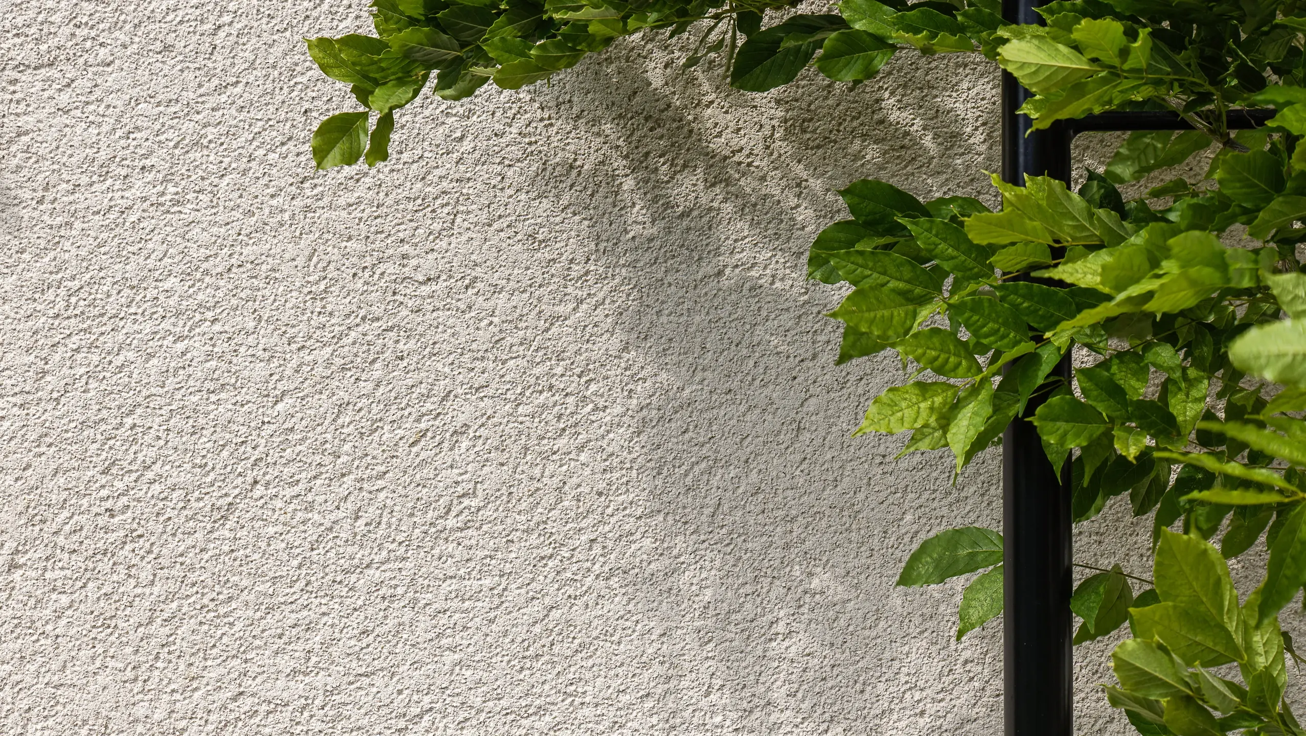 Detailansicht der Putzstruktur