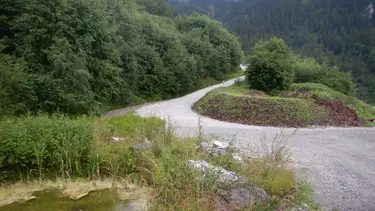 Renaturierter Bereich im Steinbruch Ennetmoos mit Teich, einem geschwungenen Schotterweg sowie neuen, grünen Jungpflanzen