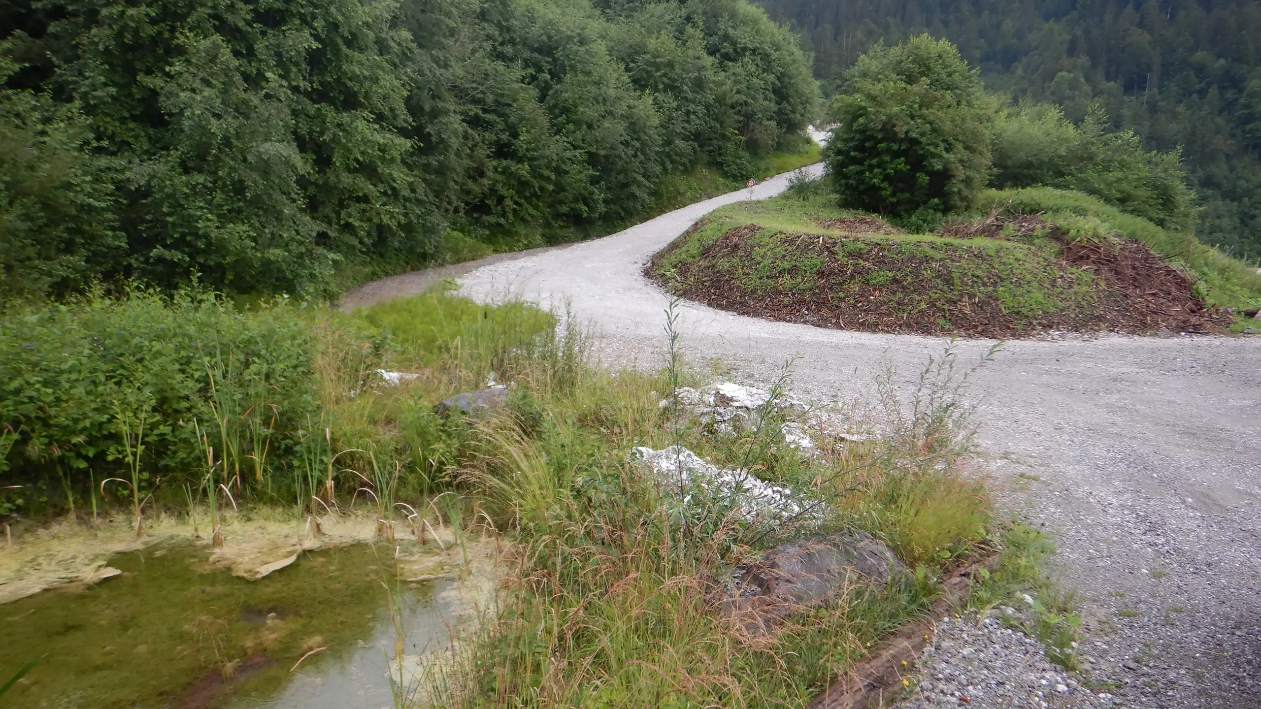 Area rinaturalizzata con stagno e sentiero sterrato attraverso la zona dismessa della cava di Ennetmoos