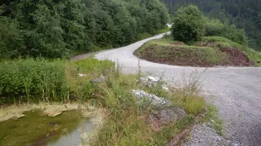 Zone renaturée avec un petit étang, un chemin empierré et des plantes vertes dans la carrière d'Ennetmoos