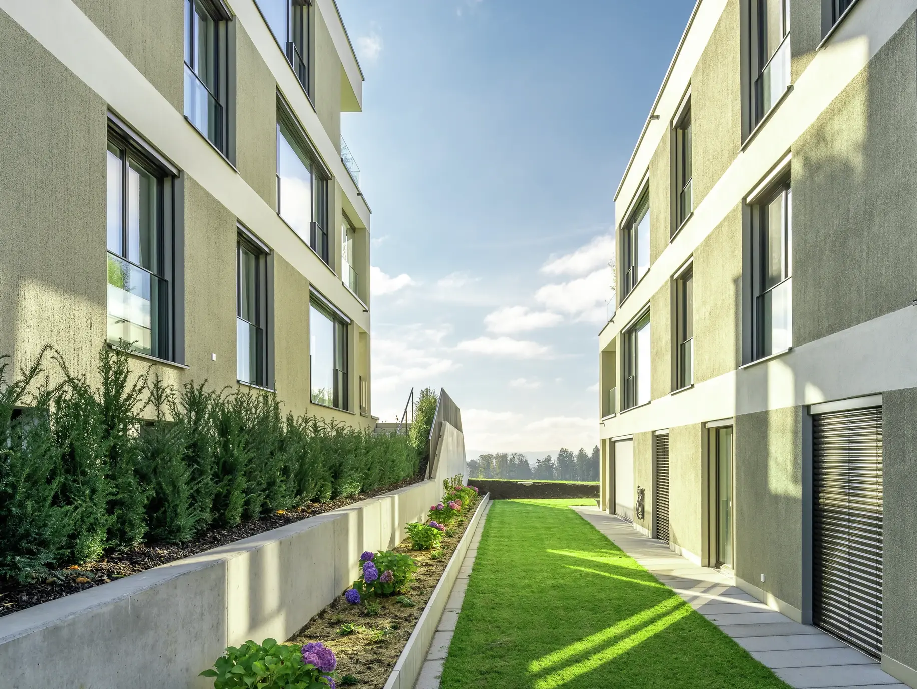 Wohnüberbauung in Russikon mit Designputz, Häuserflucht mit Gras in der Mitte