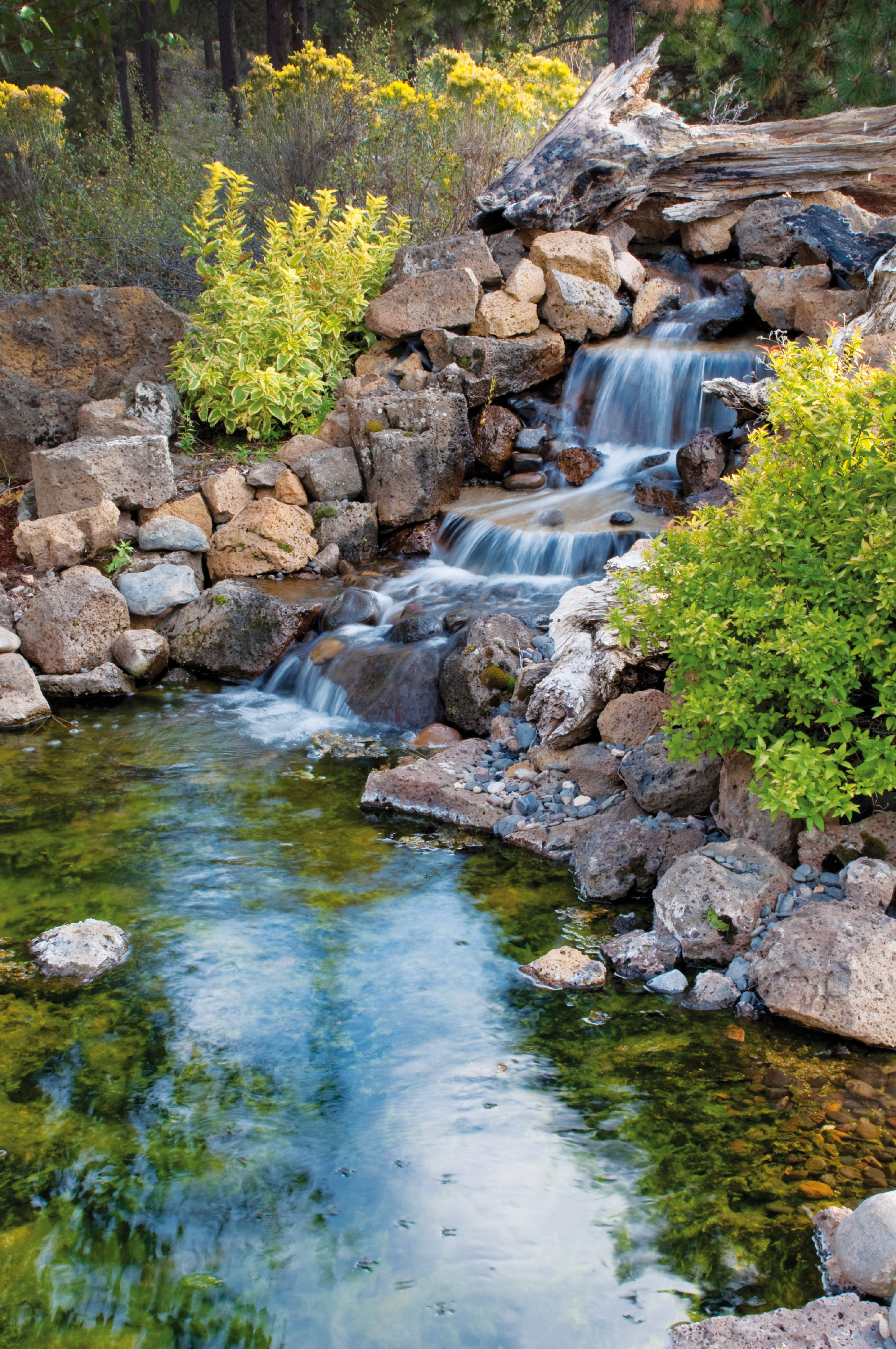  Ein schön gestalteter Wasserfall im Gartenbereich, eingebettet in Natursteine. 