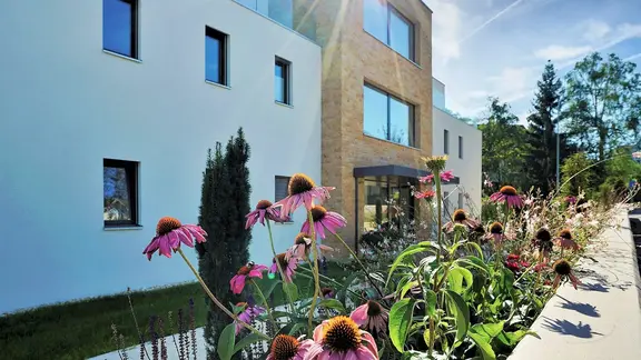 Rosafarbene Blumen im Vordergrund vor einem Haus mit weiss verputzter Aussenfassade und Highlights mit Fixit StoneEtics®