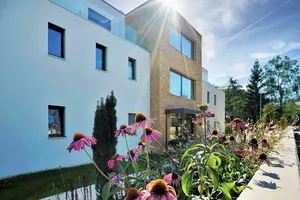 Immeuble collectif avec façade extérieure crépie et fleurs au premier plan avec rayons de soleil