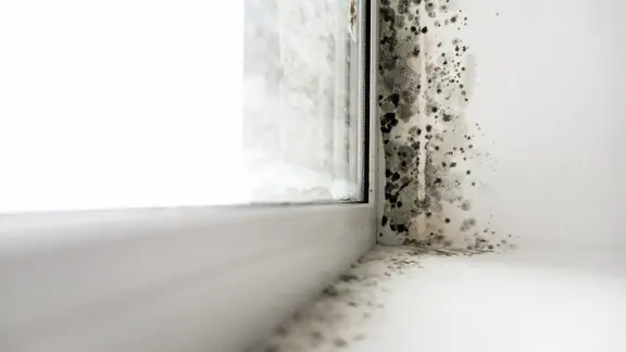 Fensterrahmen mit Schimmel
