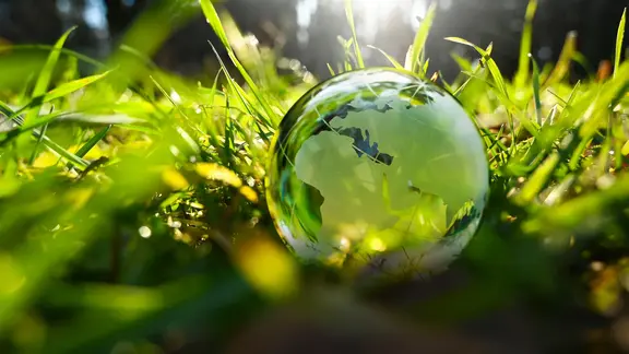 Die Weltkugel im Gras in der Natur