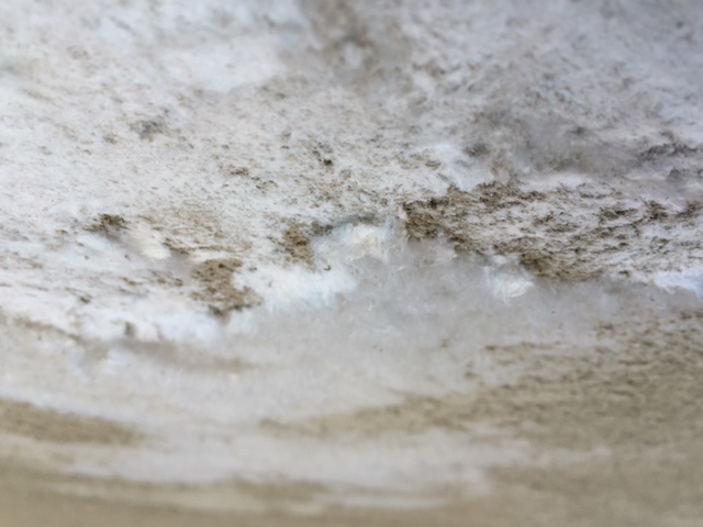 Feuchte- und salzbelastete Wand