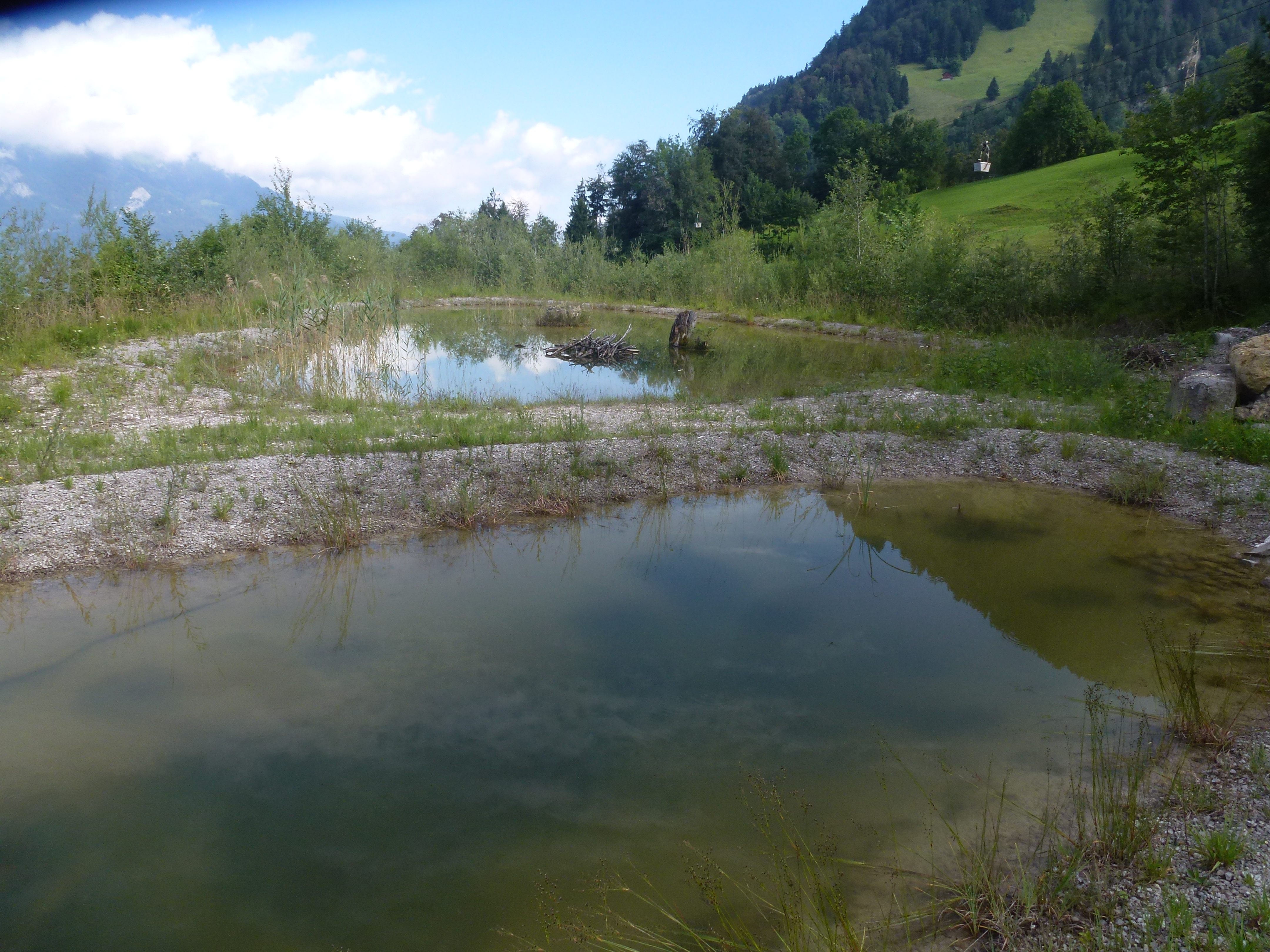 The background features a lake surrounded by forests.