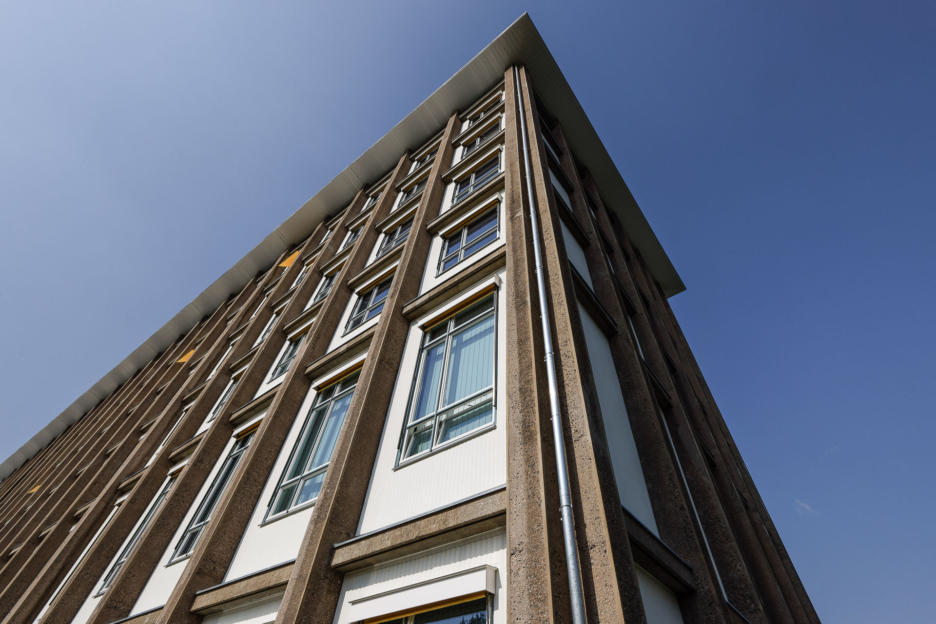 Andreas-Schubert-Bau in Dresden saniert mit Dämmputz an der Außen-Wand