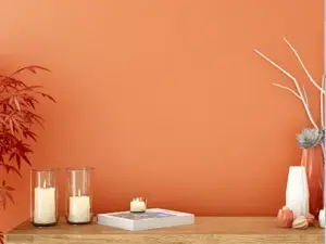  Eine Wand in sanftem Rot als stilvoller Innenanstrich