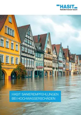 Historische Kleinstadt unter Hochwasser