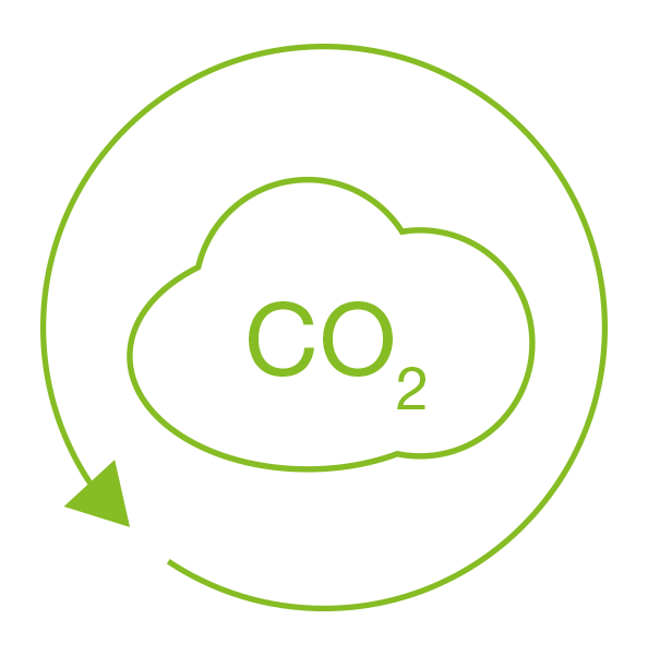 CO₂-Logo