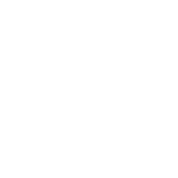 Kopf einer Person mit Headset als Icon für Beratung