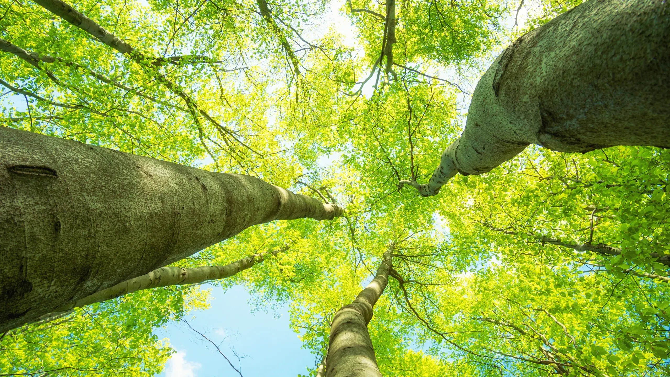 Sostenibilità nel Gruppo FIXIT