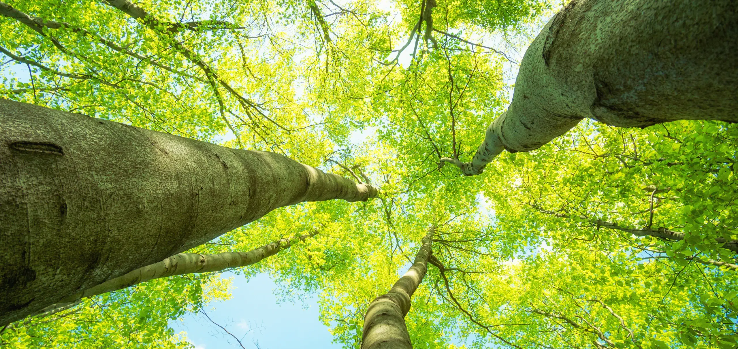 Nachhaltigkeit in der FIXIT GRUPPE