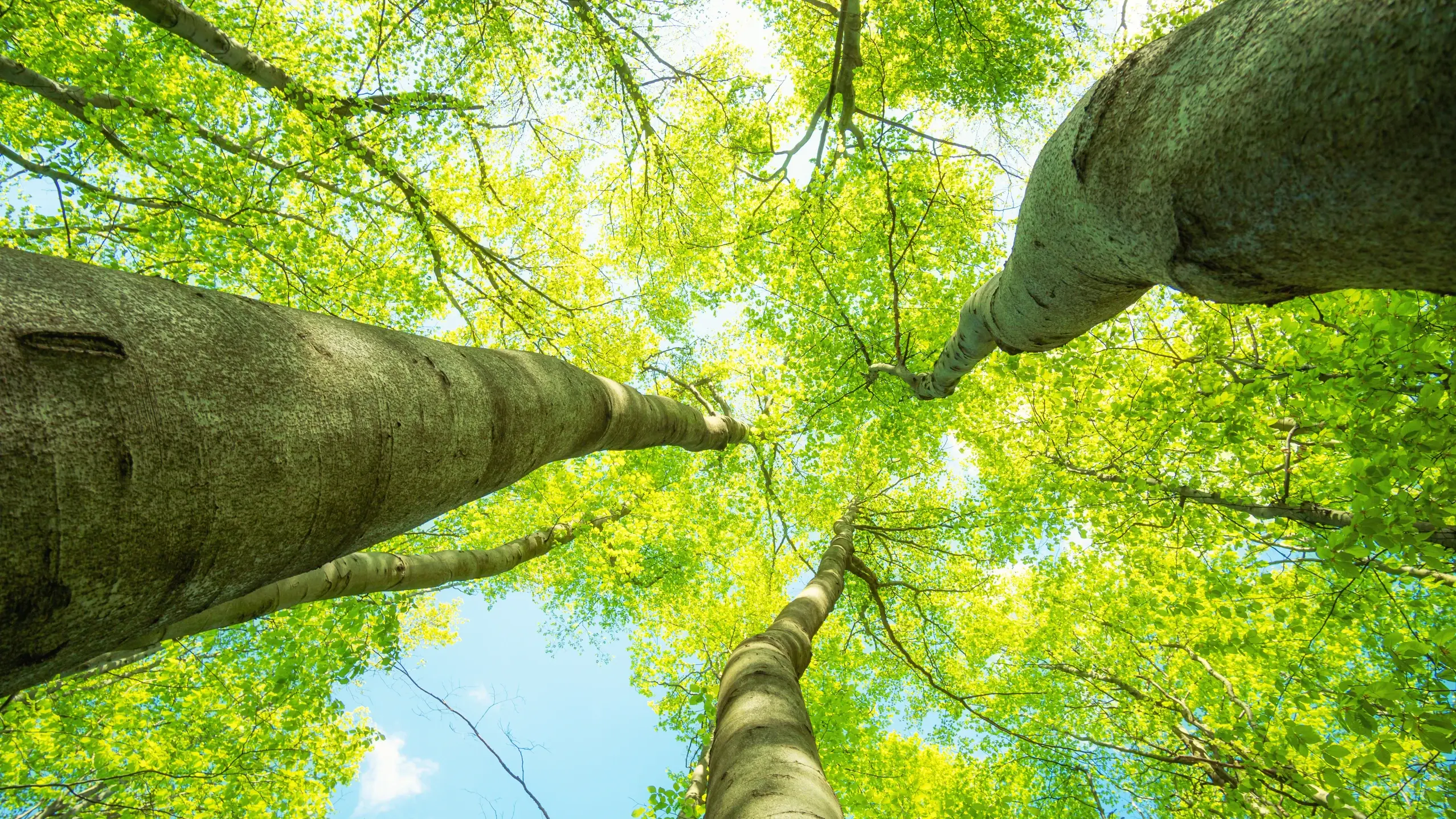 Sustainability in the FIXIT GRUPPE
