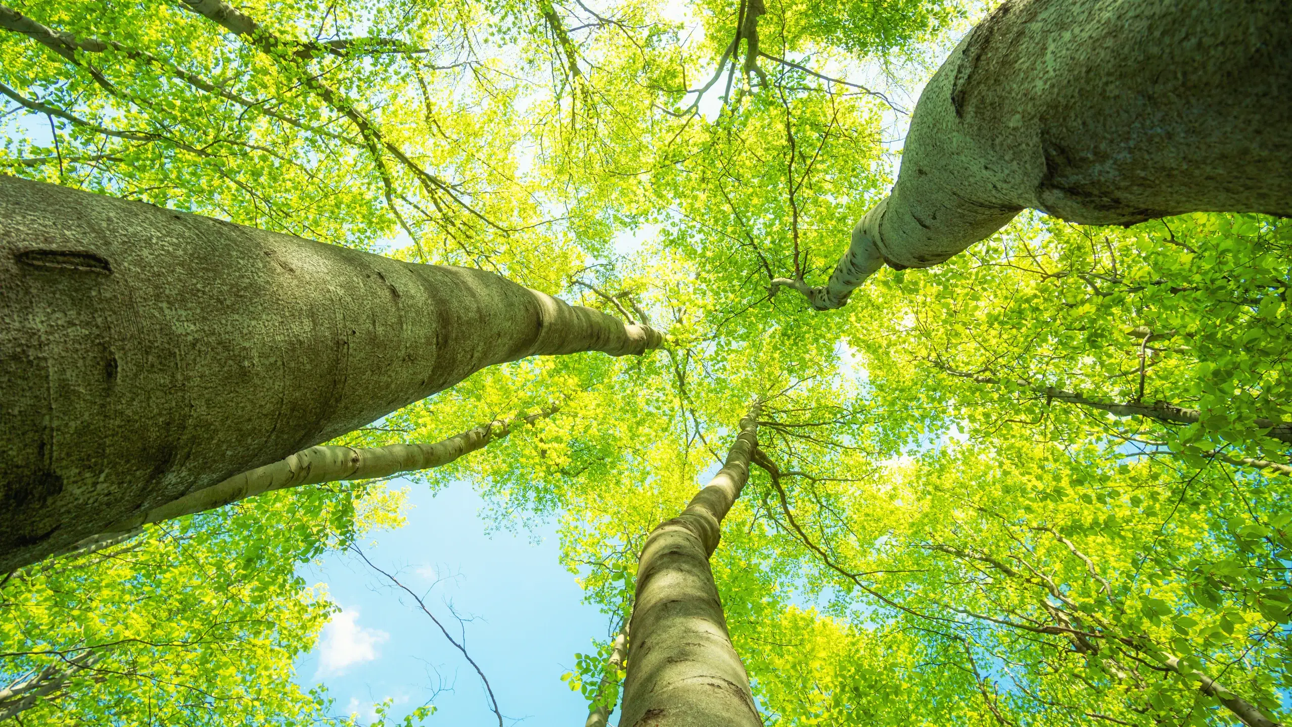 Udržateľnosť v skupine FIXIT GRUPPE