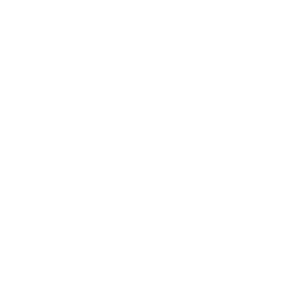 Icon Silo innerhalb einer Lupe 