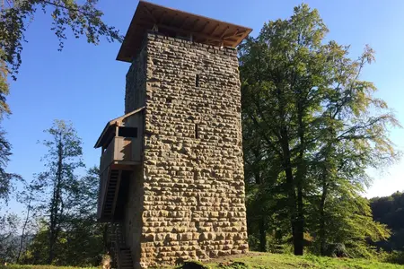 Burgruine «Alt-Wülflingen» Sanierung Winterthur