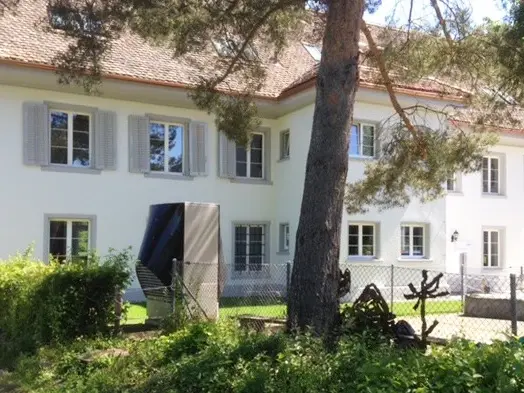 Baumstamm in der Mitte und im Hintergrund das Schulgebäude