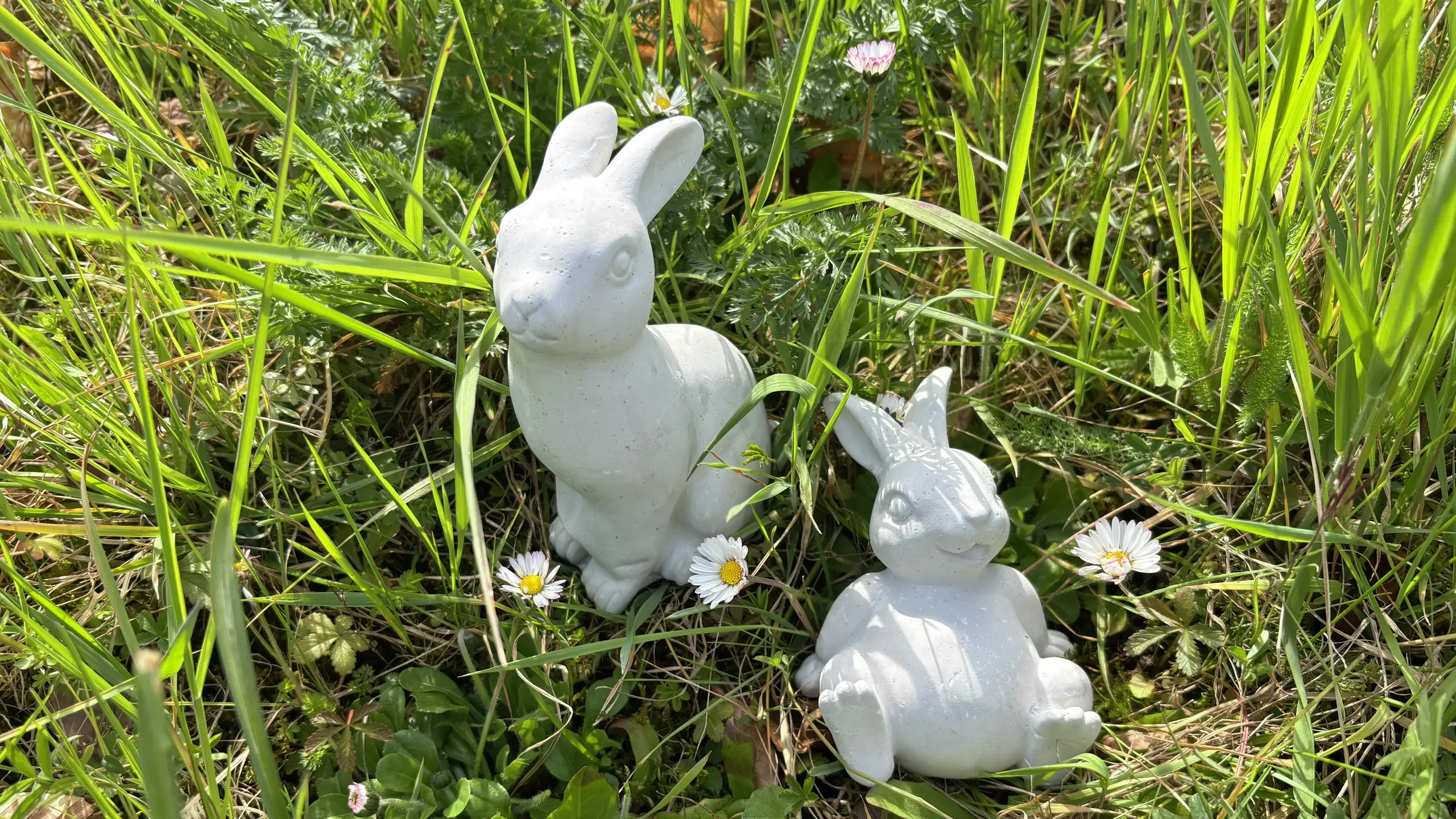 Zwei weisse Gips-Hasen auf einer grünen Wiese mit Gänseblümchen