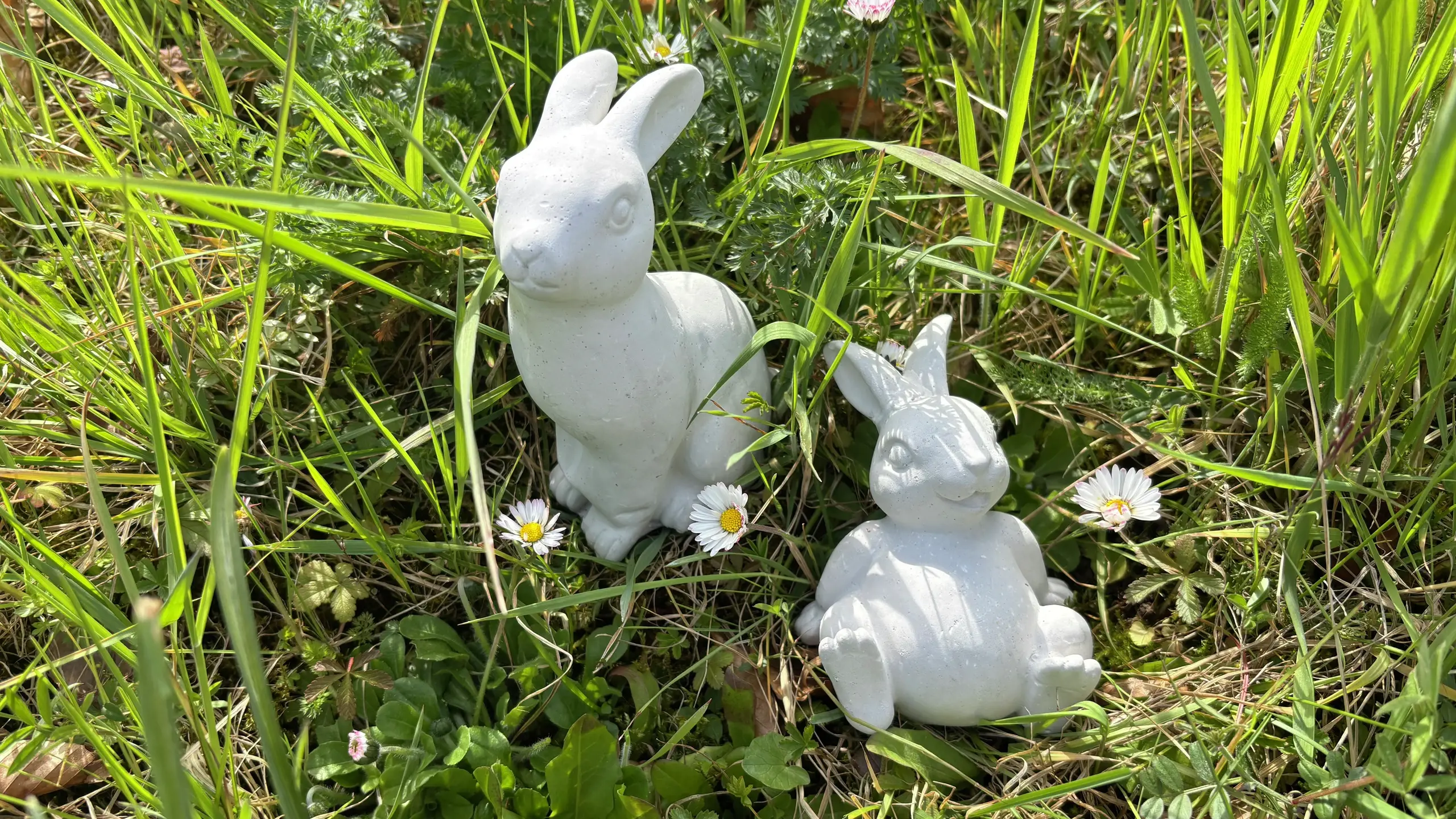 Zwei weisse Gips-Hasen auf einer grünen Wiese mit Gänseblümchen
