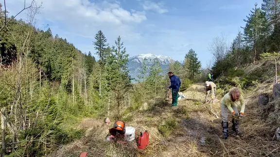 Trockensteinmauern in Mehlbach Kerns über Gipssteinbruch Ennetmoos werden von freiwilligen Helfern freigelegt