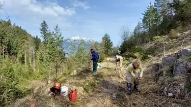 Panoramasicht im Steinbruch Mehlbach Kerns in Ennetmoss mit den freiwilligen Helfern zur Freilegung der Trockensteinmauern