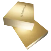 XPS 300 Premium Plus