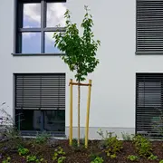 Perspektive auf die Außenfassade des Gebäudes im Fensterbereich