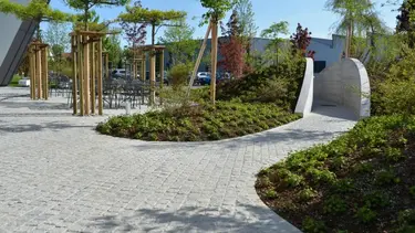Moderner Vorplatz mit hellgrauen Pflastersteinen und grün bepflanzten Beeten sowie einzelnen Bäumen