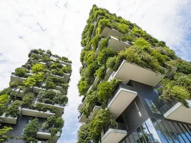 Photomontage de deux immeubles avec des balcons entièrement végétalisés