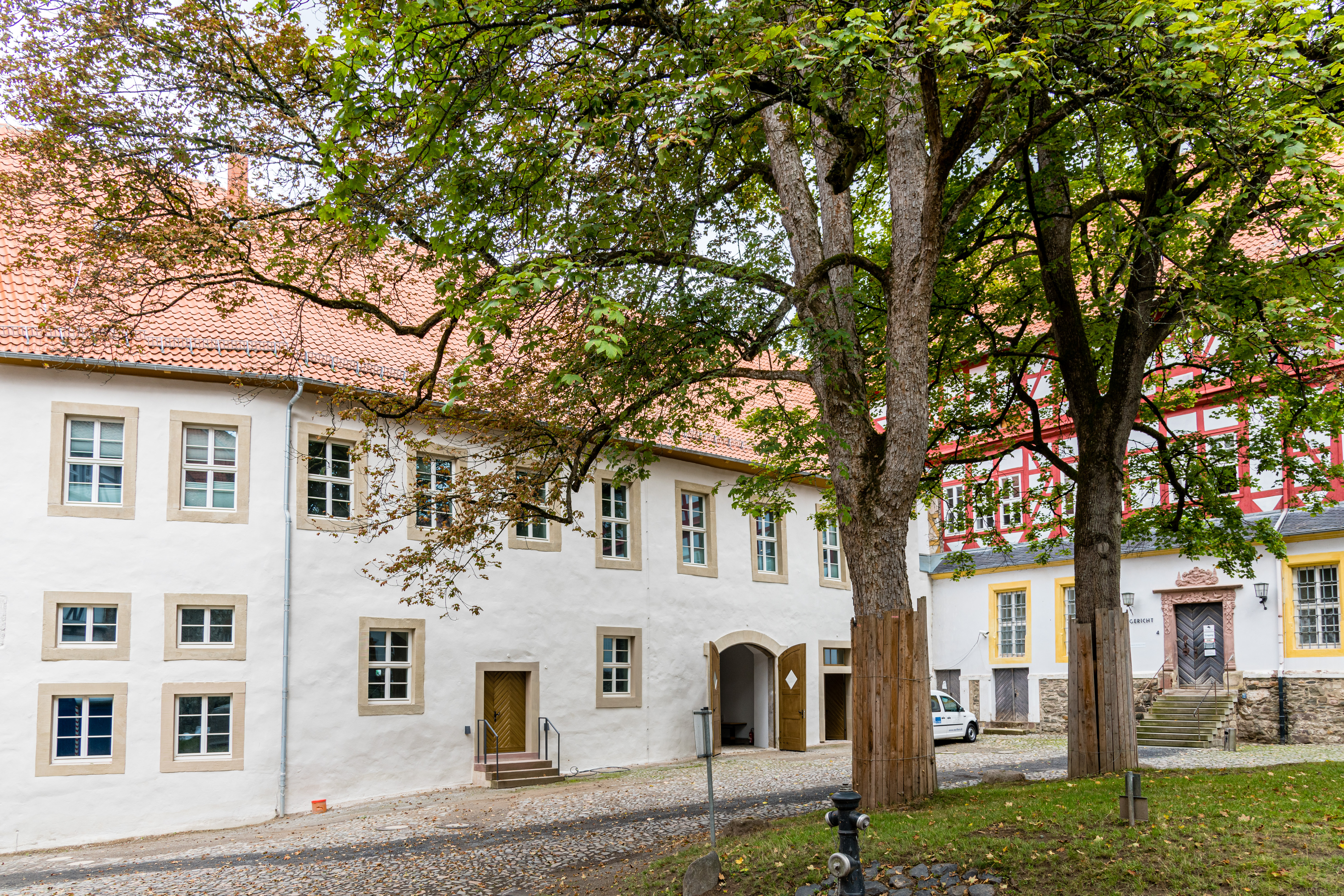 Palace Building with two trees in front