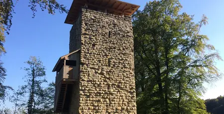 Sanierung Ruine alt Wülflingen