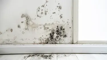 Wand im Fensterbereich mit Schimmelbefall