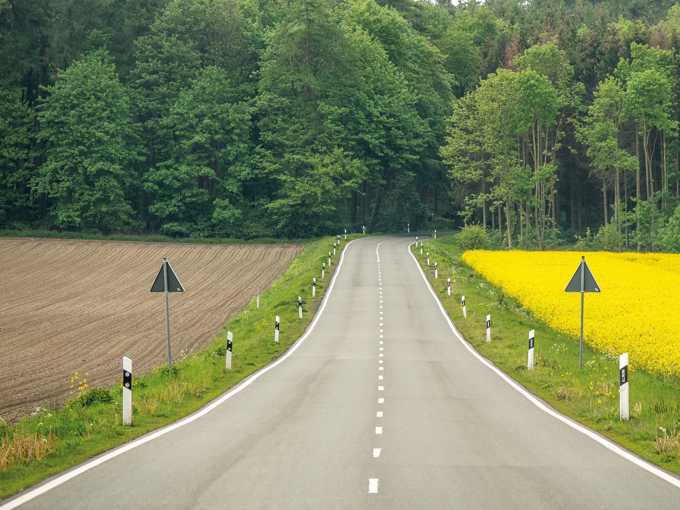 Landstraße in der Natur